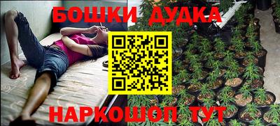 крисы Рыбинск