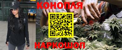 прущие крисы Рязань