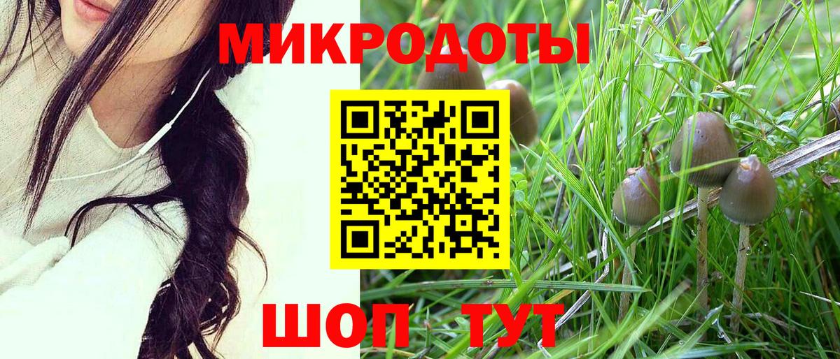 Псилоцибиновые грибы GOLDEN TEACHER  где купить наркоту  Галлюциногенные грибы Psilocybine cubensis  Баксан  Вход с VPN 